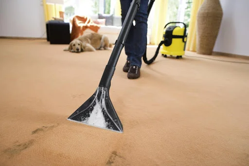 Co je chemické čištění koberců a jak se provádí?